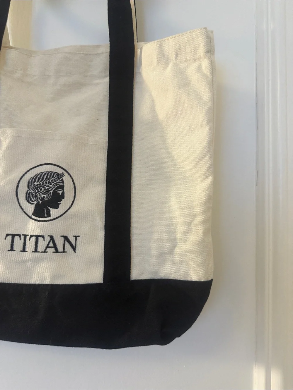 Titan versatile logo